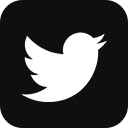 Twitter Icon