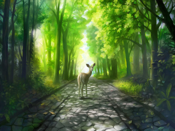 本の中の世界
